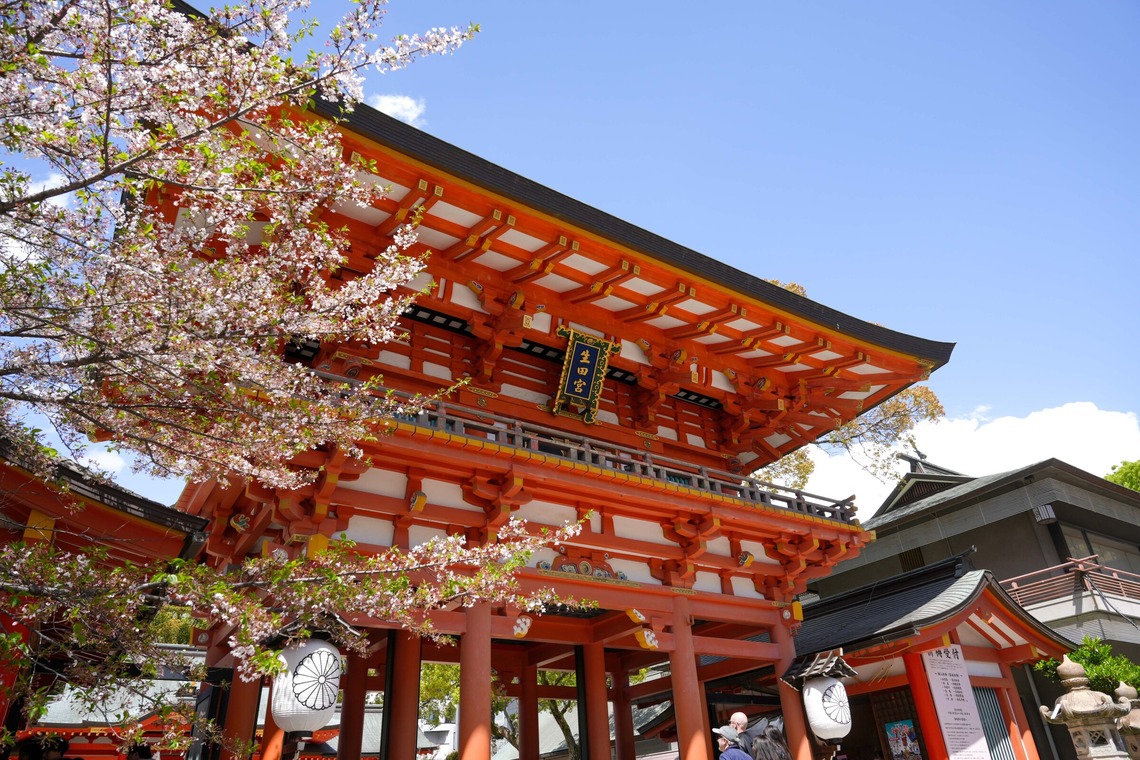 Album of the Wedding Day Photography/After-party Photo Shoot/Kimono Shoot taken by ArsTect LLC - bridal wedding reception photo shoot