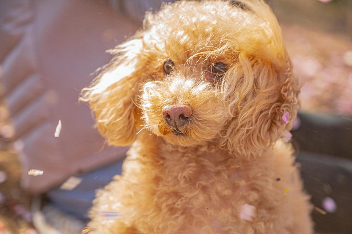 高木勇斗が撮影した写真のアルバム「風景」
