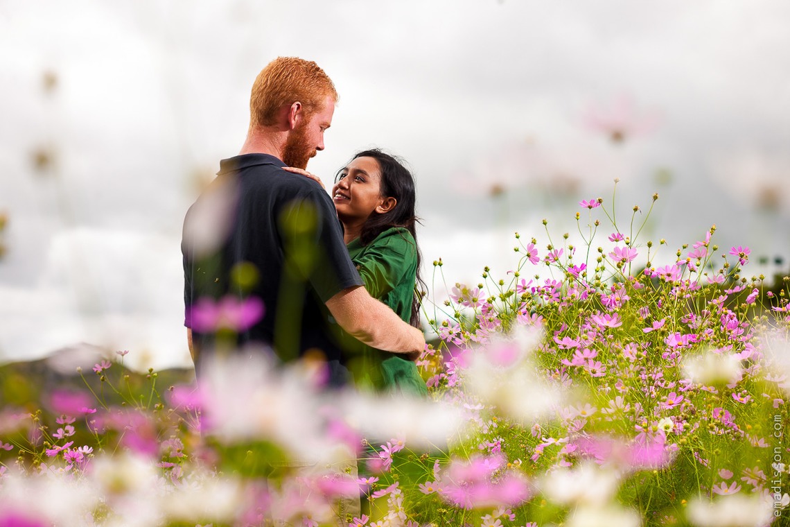 Emadissonが撮影した写真のアルバム「」