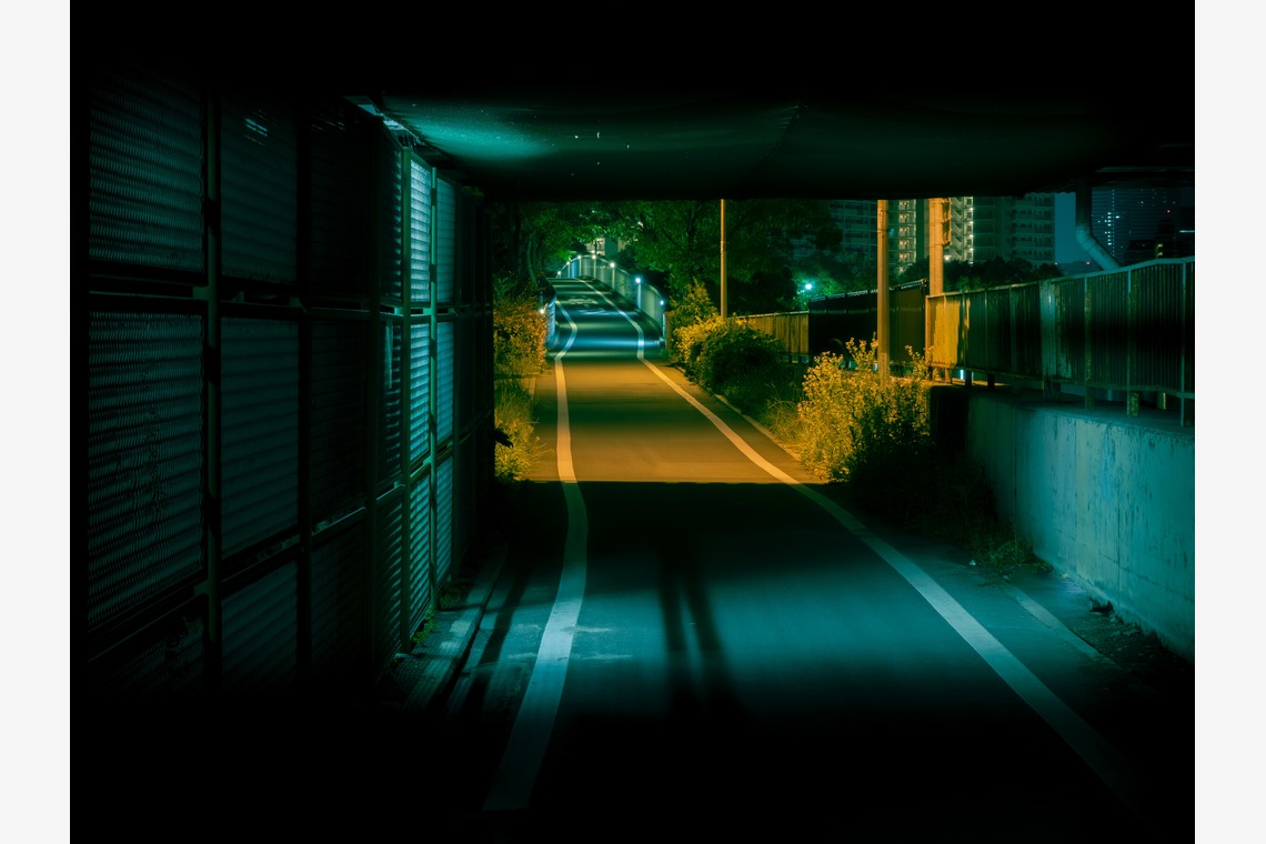 ハイナ　マテウスが撮影した「陰翳礼讃」の写真