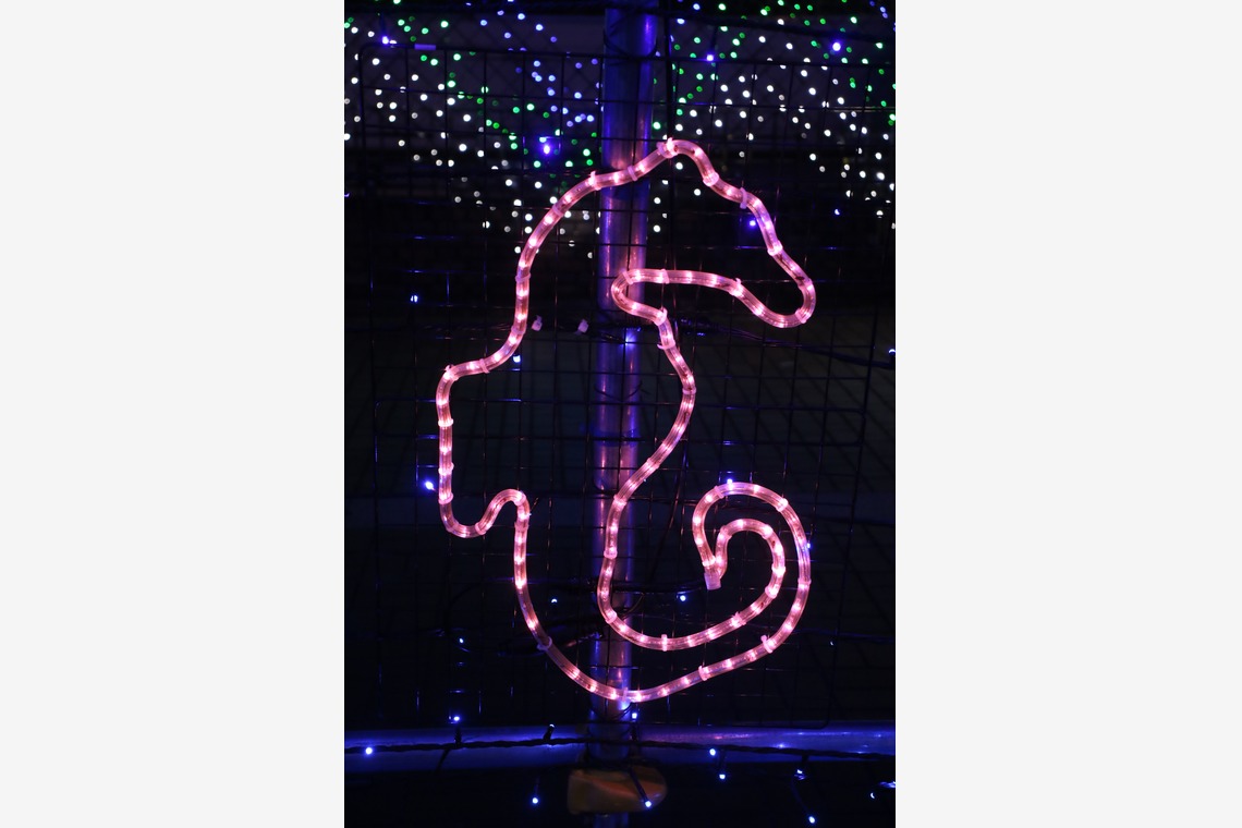 ＮＫ フォトエージェンシーが撮影した「建物・風景写真③(多摩センター駅前イルミネーション）」の写真