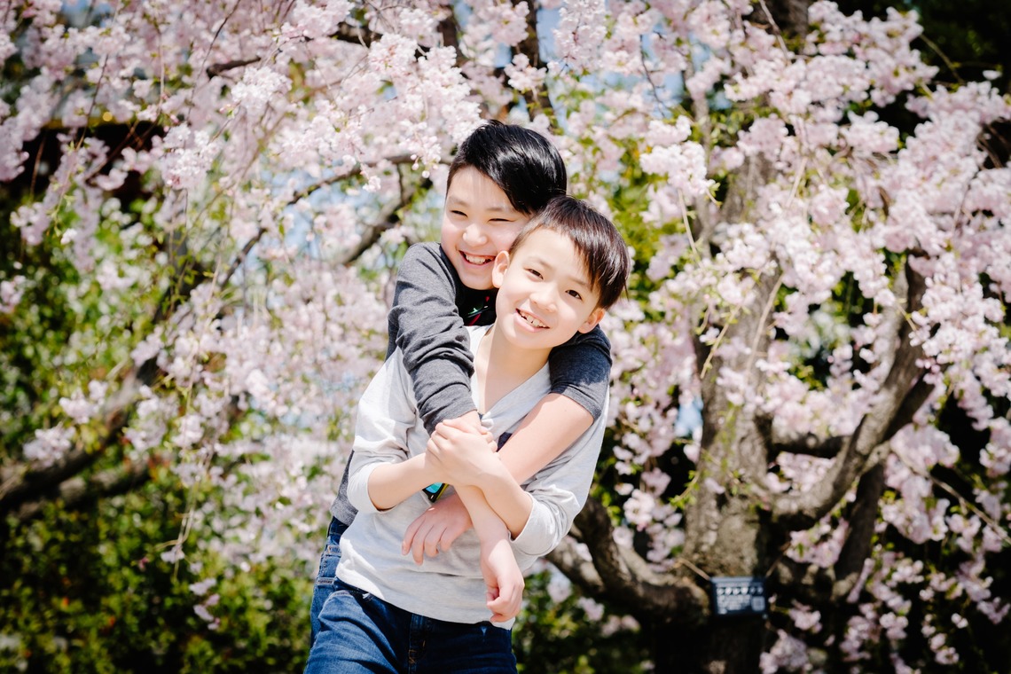 アトリエ　エピカ/清水　一哉が出張撮影した家族写真(キッズ,ベビーフォト)などが写った「桜フォト」の家族写真