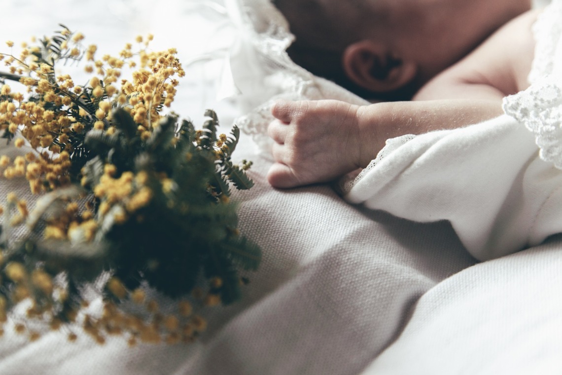 yamegrapher 〜平島写真事務所〜が撮影した写真のアルバム「八女ニューボーン」