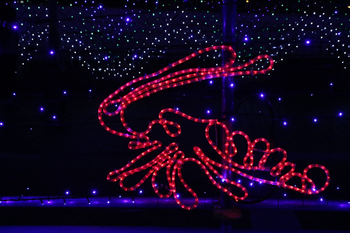 ＮＫ フォトエージェンシーが撮影した「建物・風景写真③(多摩センター駅前イルミネーション）」の写真