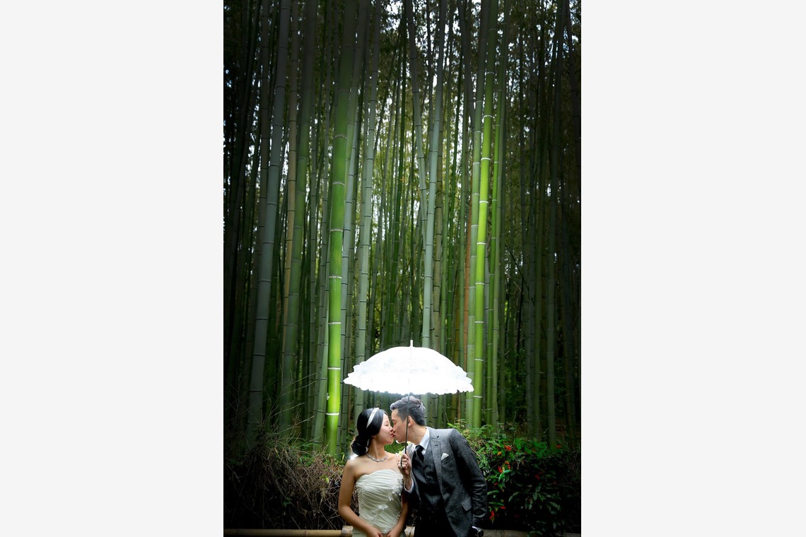 Studio TVB (スタジオtvb)が撮影した「ロケーションフォト」の写真