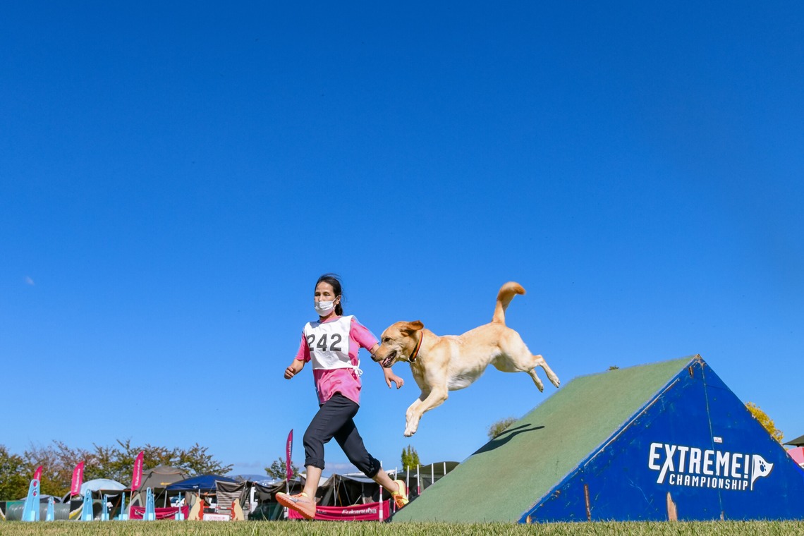 スタジオファンタスが撮影した「ドッグスポーツエクストリーム」の写真
