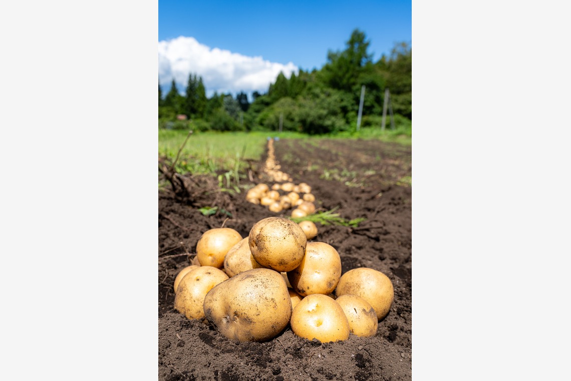 石橋宙大が撮影した「農家さん撮影」の写真