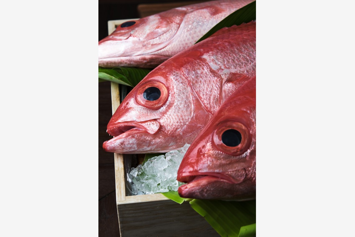 Top Gunが撮影した「料理撮影」の写真