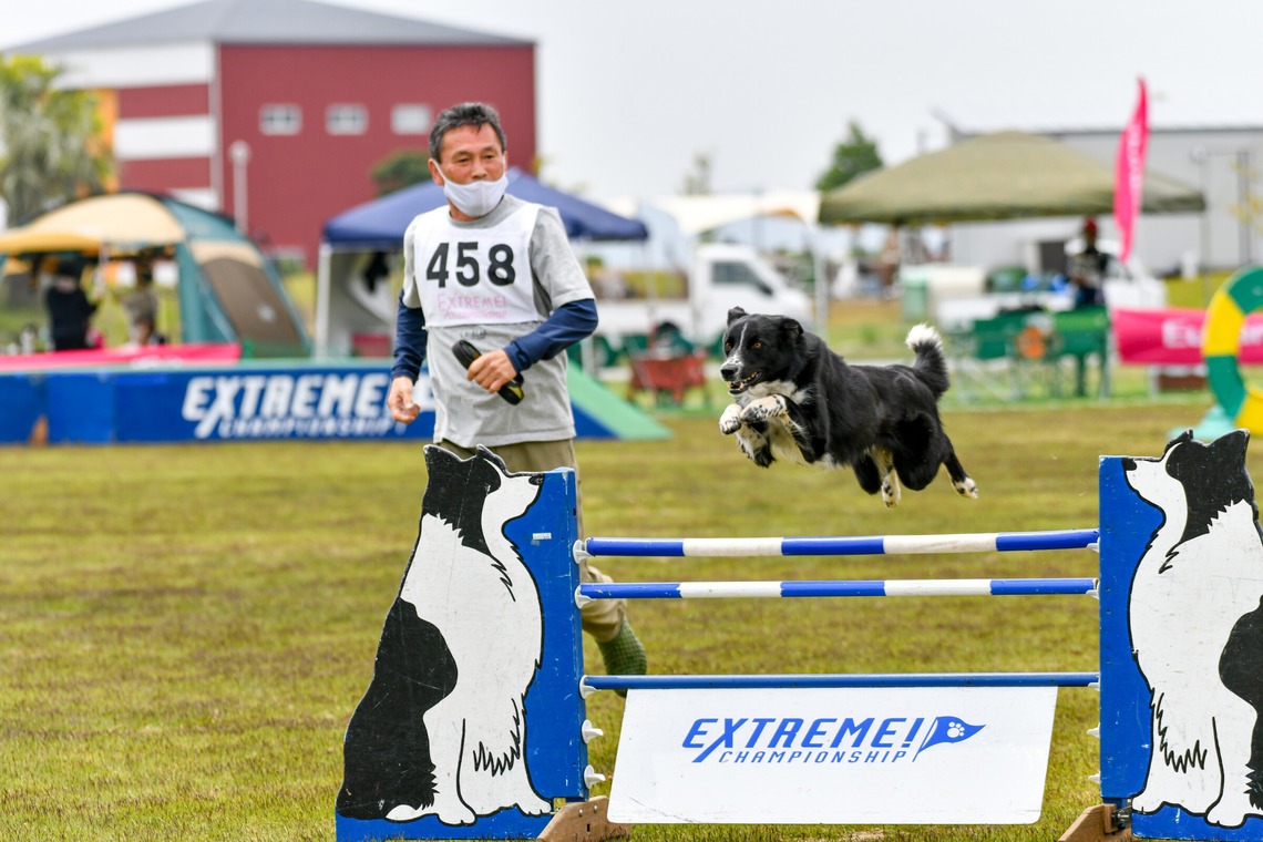 スタジオファンタスが撮影した「ドッグスポーツエクストリーム」の写真
