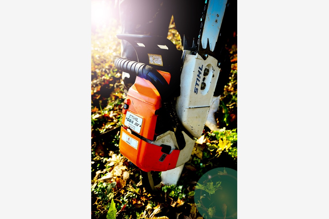 藤巻写真事務所が撮影した「フォレストワーカー」の写真