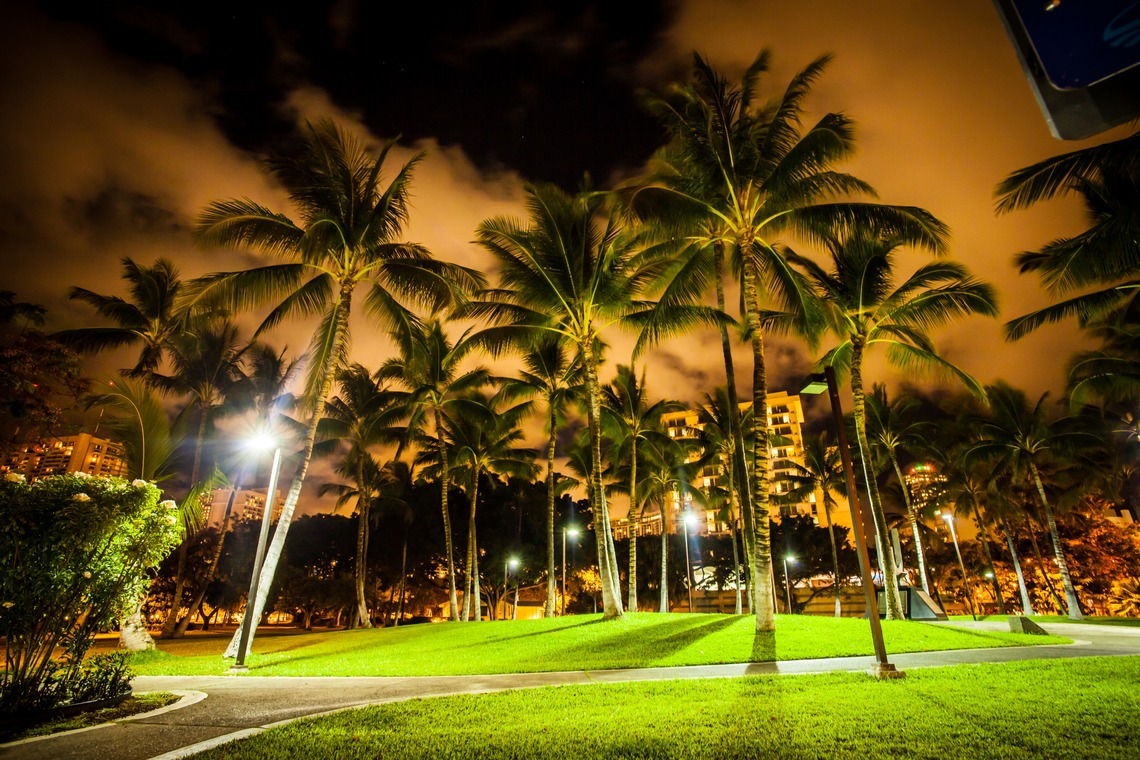 Photo Jellishが撮影した「ロケーションフォト」の写真