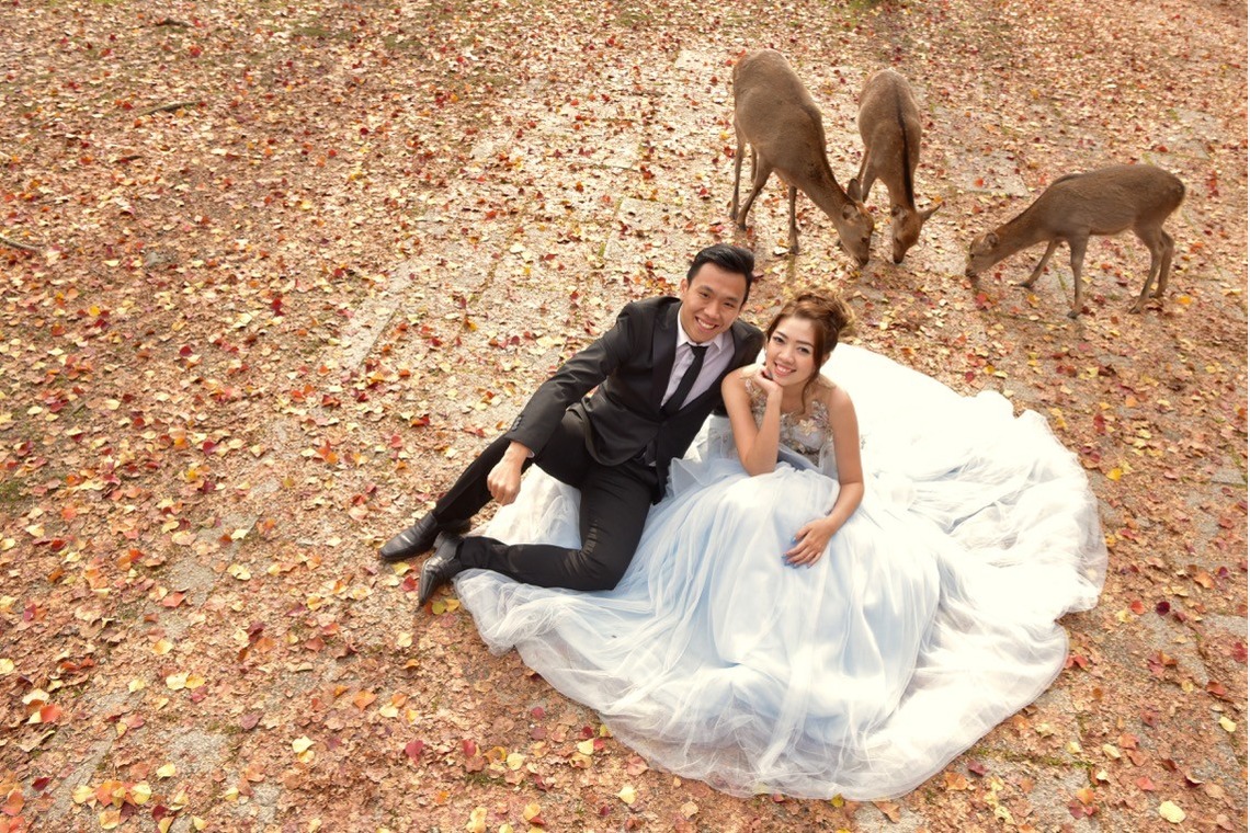 キキフォトワークスが撮影した「奈良公園でのウエディングロケーション撮影」の写真