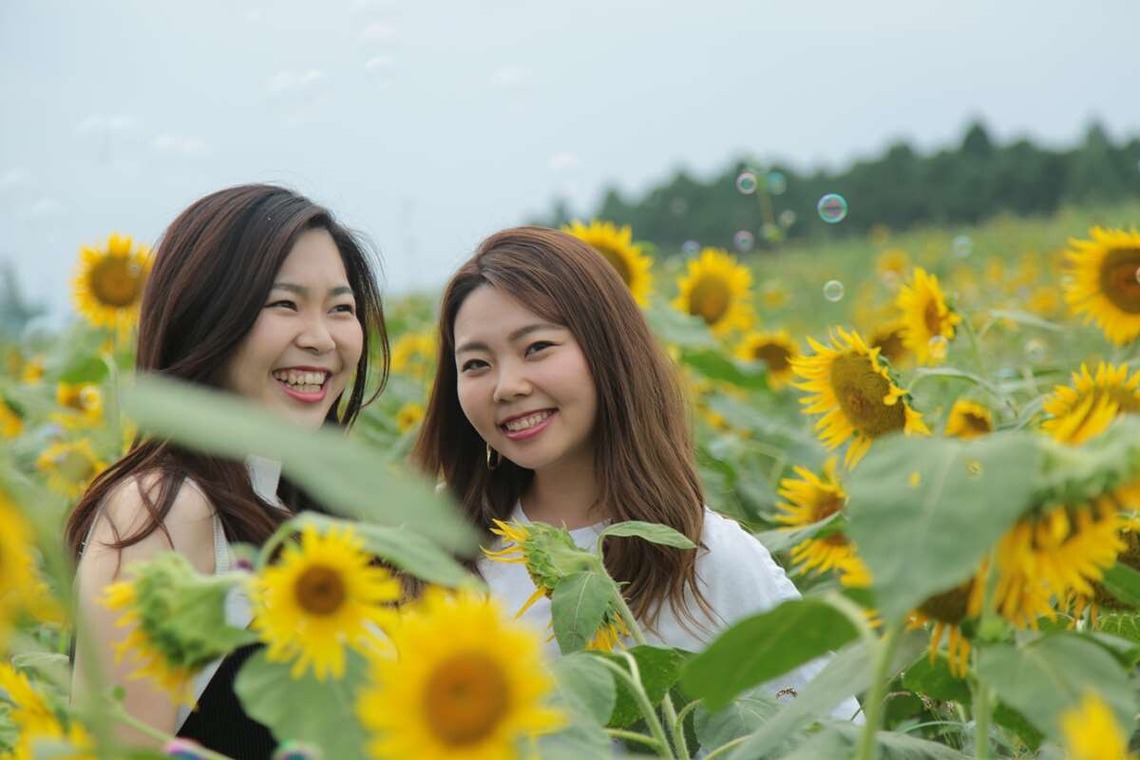 理 S PHOTOが撮影した写真のアルバム「鼻高展望ひまわり畑」