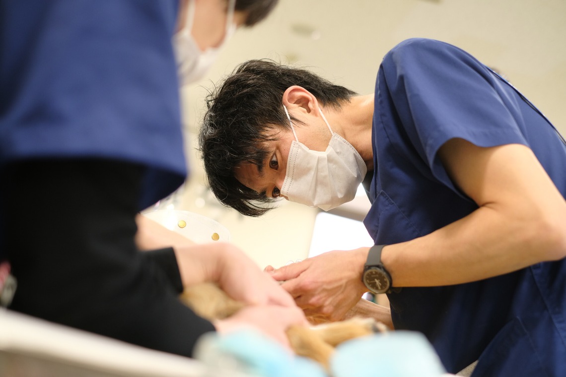 杉本 周平が撮影した写真のアルバム「店舗・企業様撮影関連」