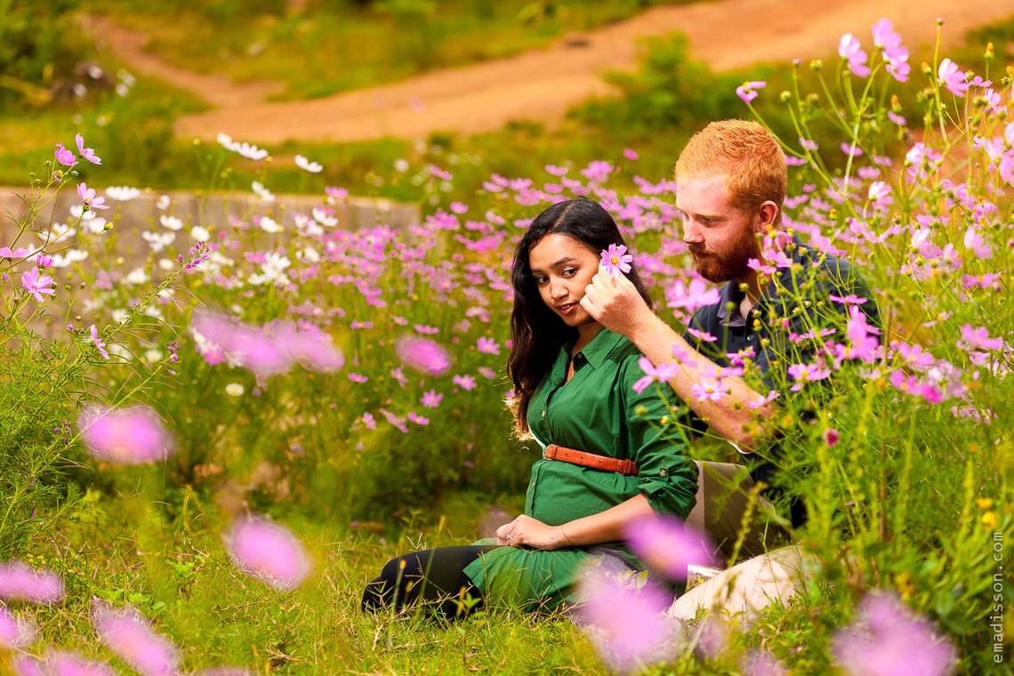 Emadissonが撮影した写真のアルバム「」