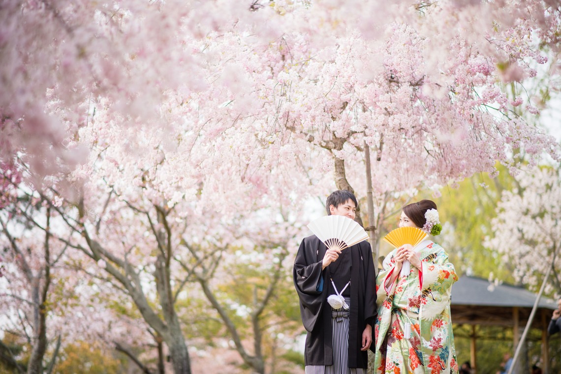 studio zeroが撮影した「奈良」の写真