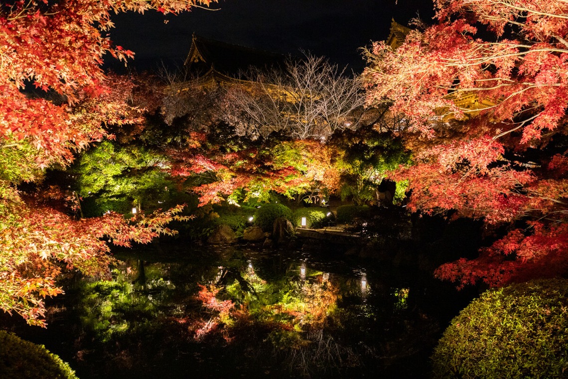 Create 4 Uが撮影した「各種撮影」の写真