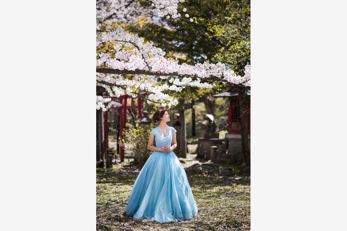 Photo of Sakura taken by My Style Garden Studio 
