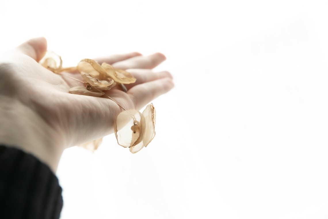 安藤栞里が撮影した「商品撮影」の写真