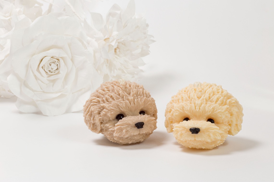 長谷部ナオキチが撮影した写真のアルバム「商品撮影」