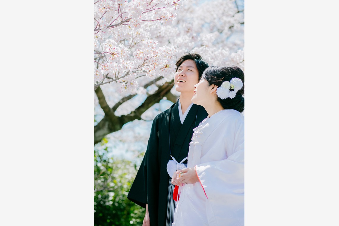 Tomi Photo Studioが撮影した写真のアルバム「和装ロケーションフォト」