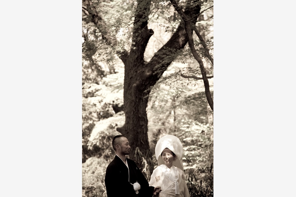 Photo of  taken by photo office zk