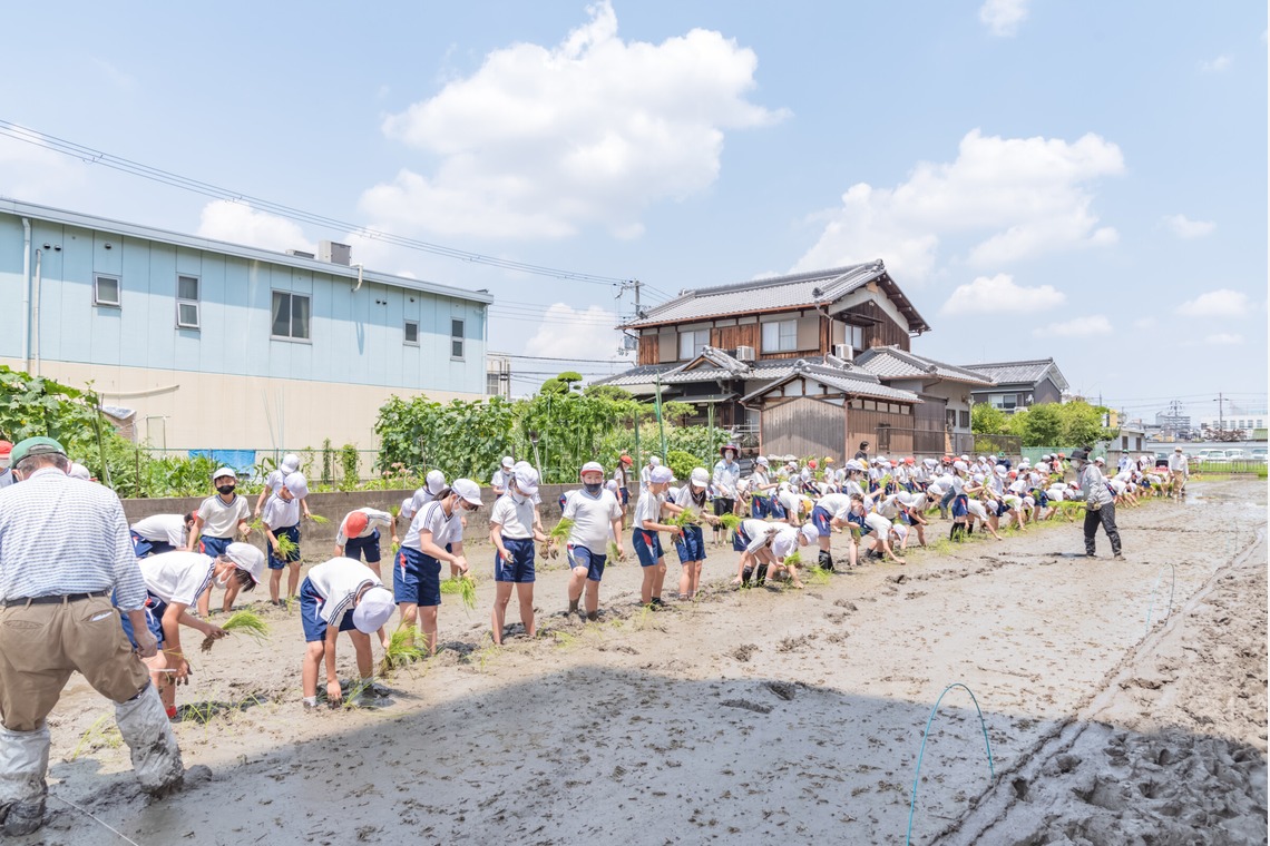 フォトスタジオ　ちっくたっくが撮影した写真のアルバム「小学校」