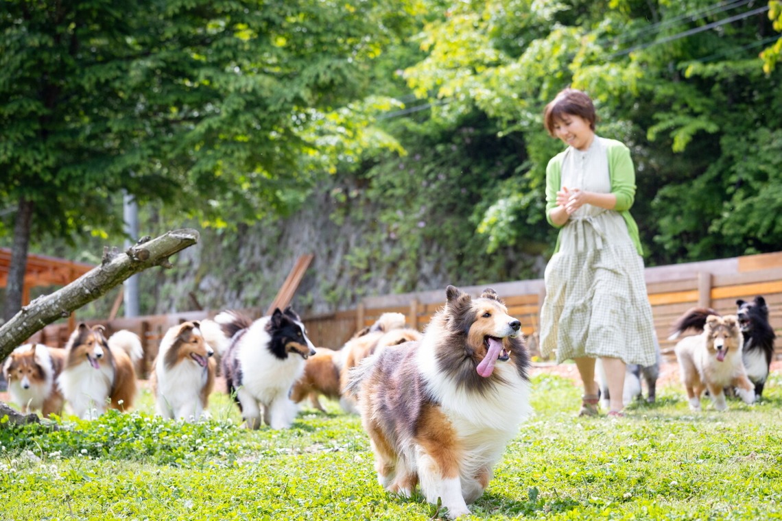 LUCE PHOTO WORKSが撮影した「ペット」の写真