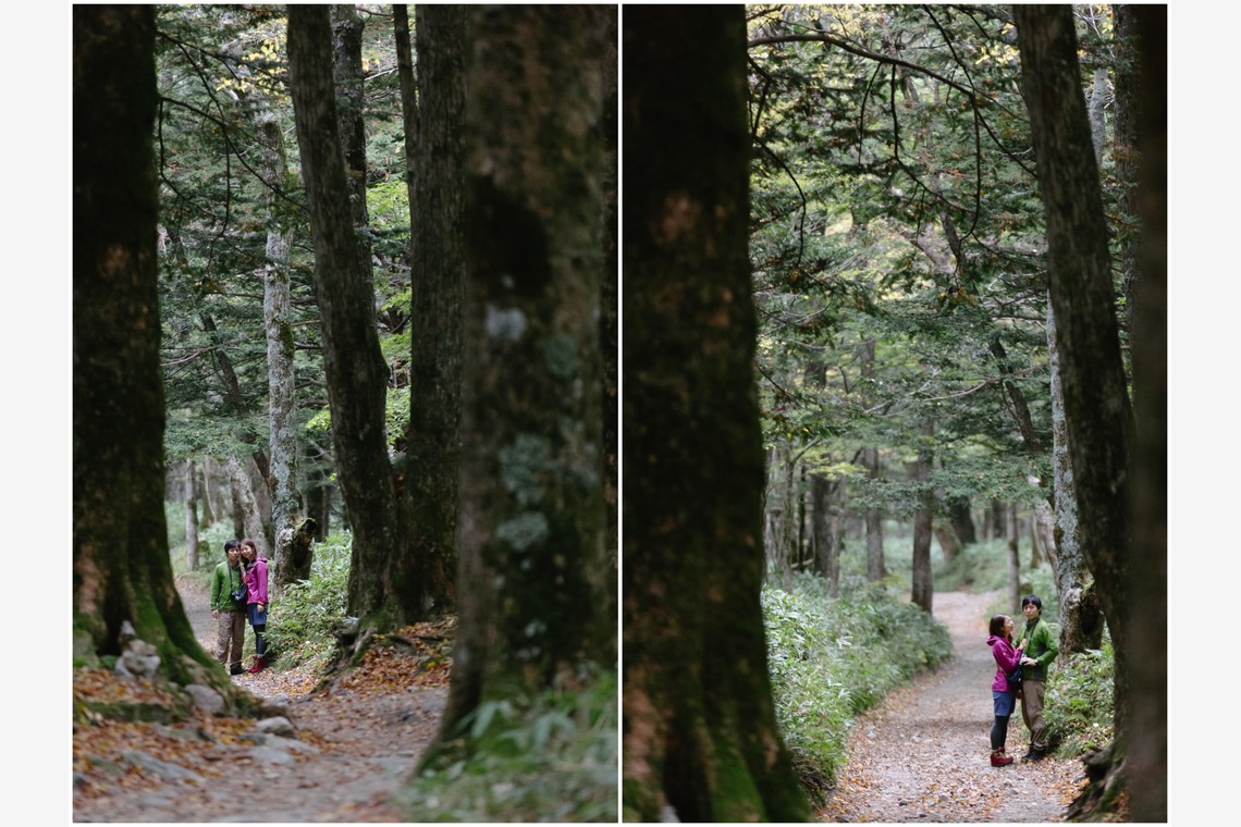 シーフォトグラフィックが撮影した写真のアルバム「Will you marry me? in 上高地」