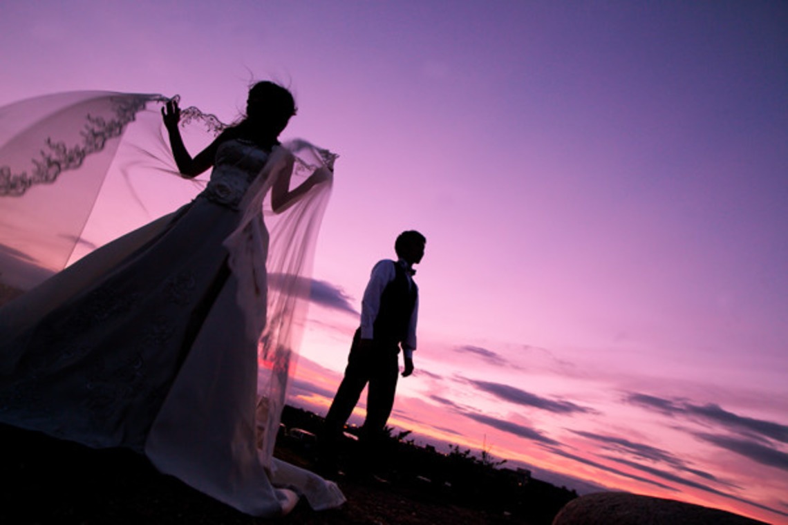 ピュアアーティス(小島 靖雄)が撮影した「その他フォト」の写真