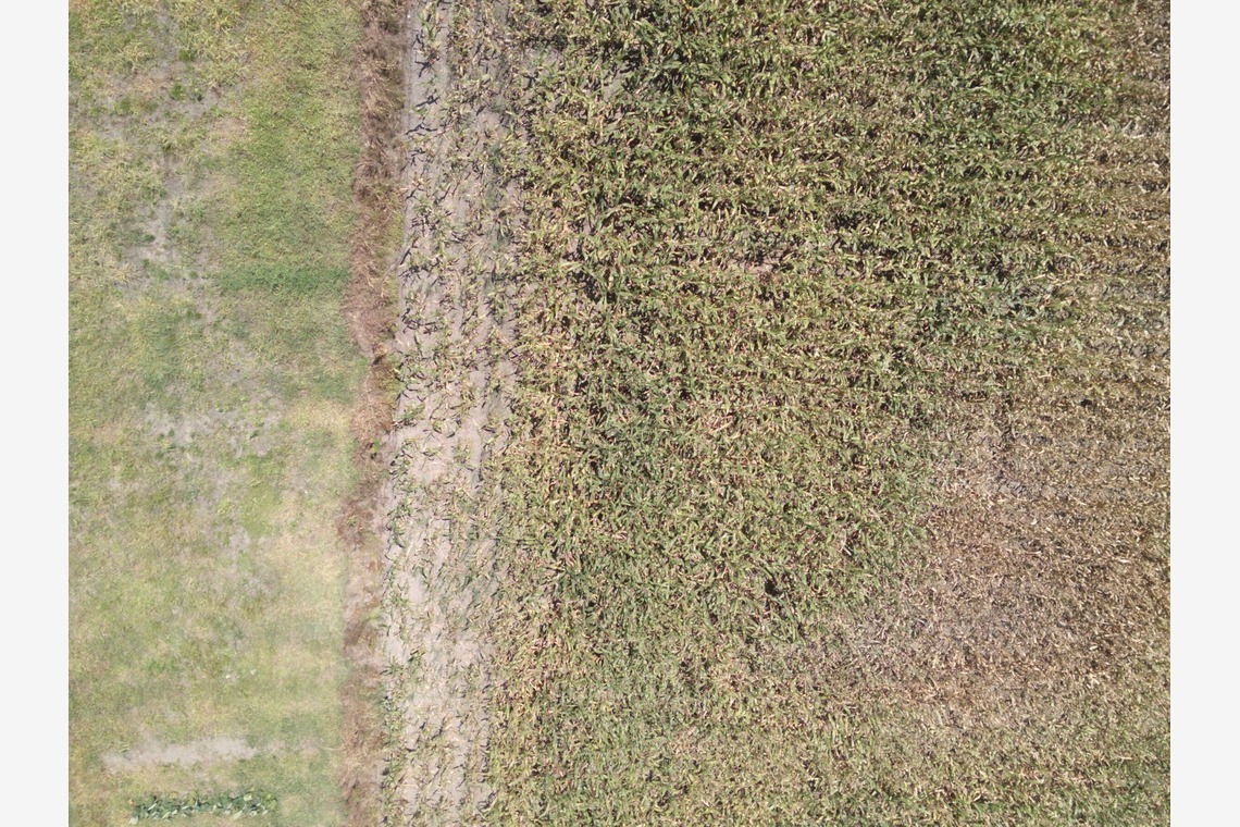 アナハイムエレクトロニクスが撮影した「震災農地調査」の写真