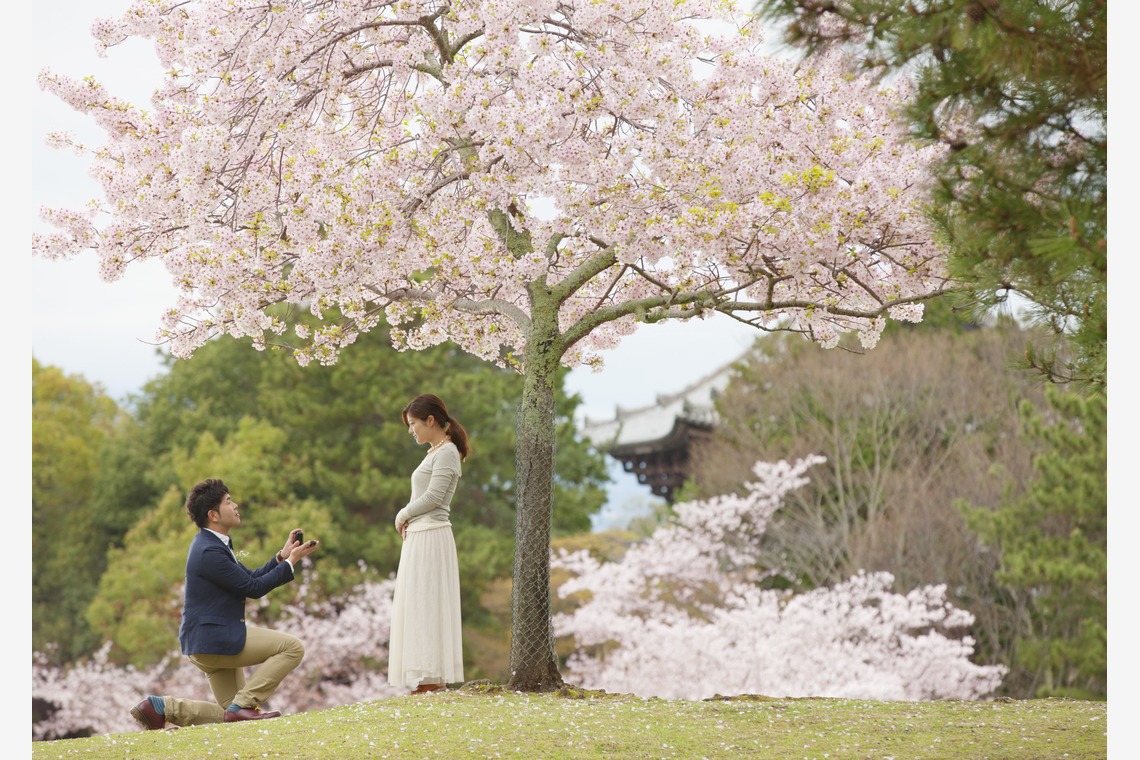 Photo of  taken by B WORKs PHOTOGRAPHY