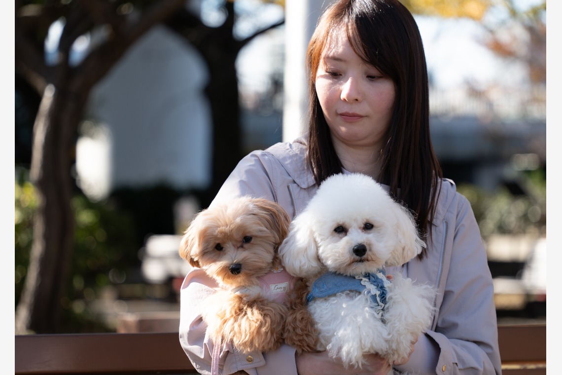 千葉が撮影した写真のアルバム「ペット撮影」