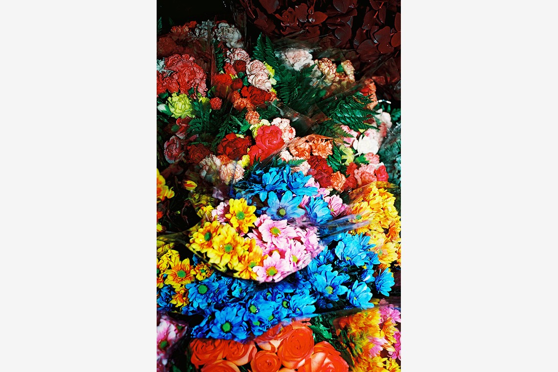 森田寫眞館が撮影した「N.Y」の写真