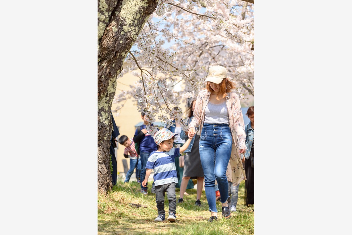 Lightgraphyが撮影した「桜の季節の親子フォト」の写真