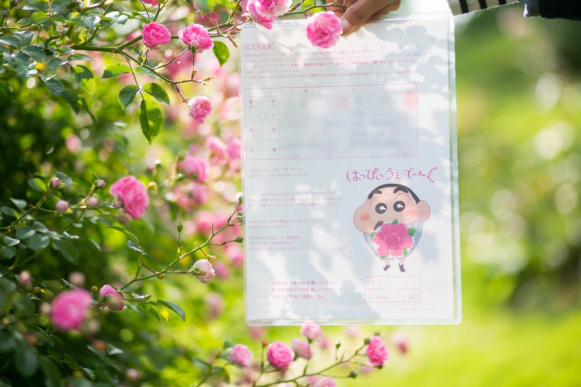 タカラモノ.foto　群馬の出張撮影カメラマンが撮影した「エンゲージメントフォト at　群馬フラワーパーク」の写真