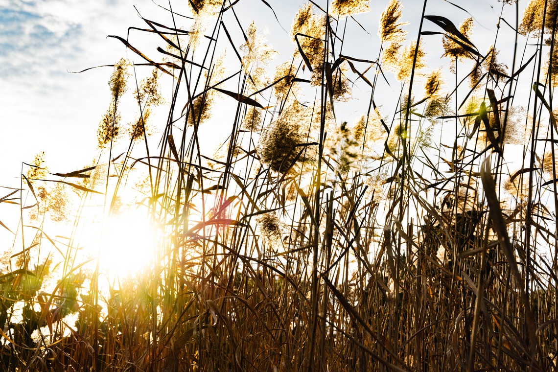 細田　恭平が撮影した「アウトドア撮影」の写真