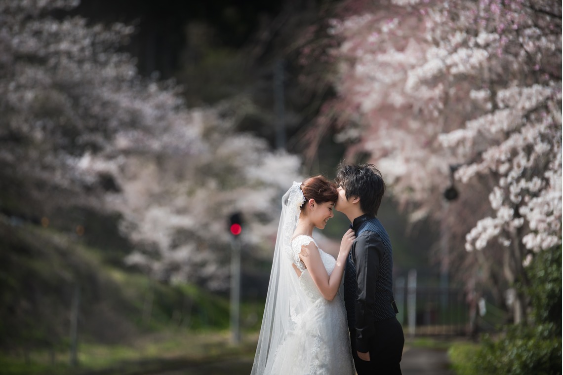 My Style Garden Studio が撮影した写真のアルバム「桜」