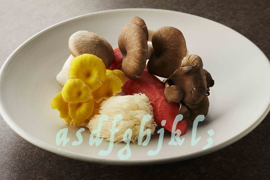 西原毅が撮影した写真のアルバム「高級素材」