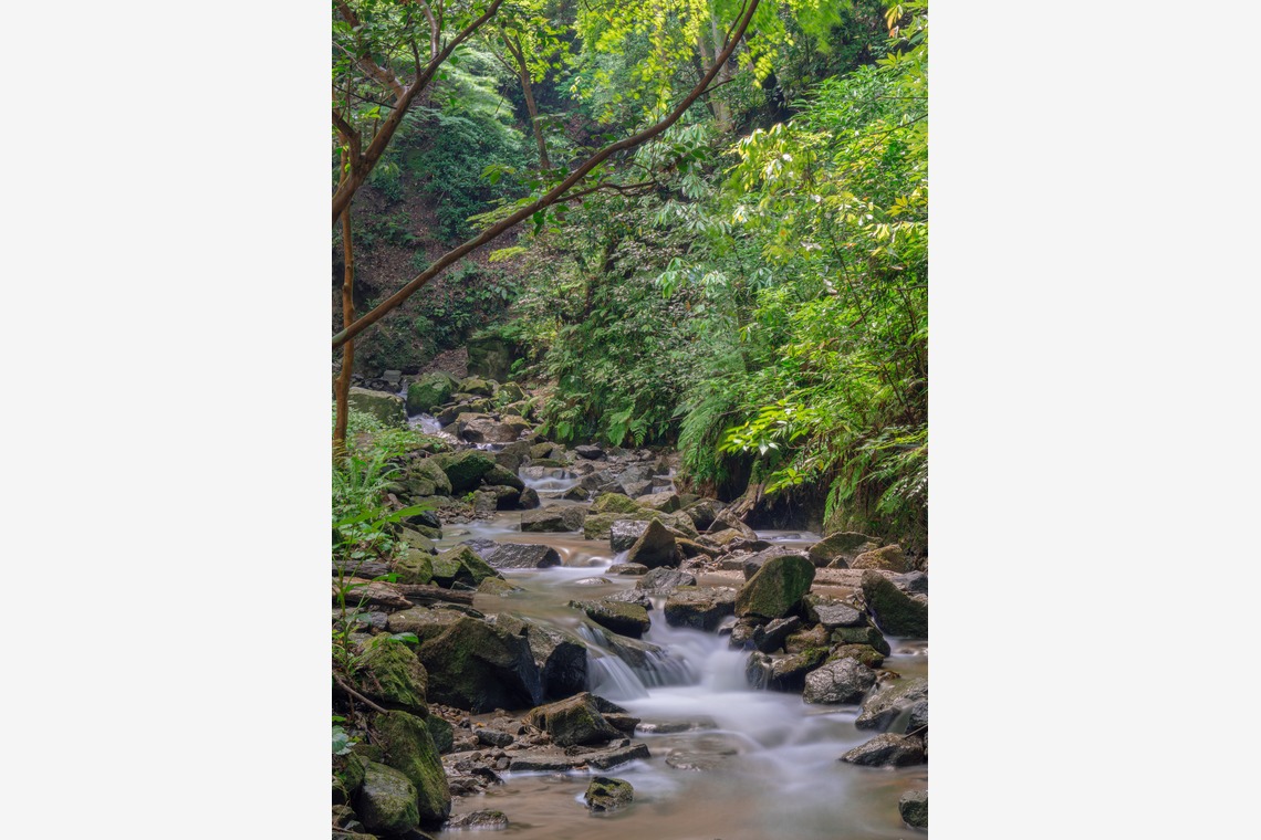 あなたの写真館