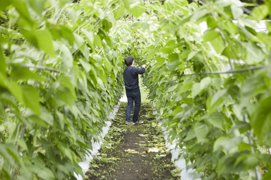 bluevalleyが撮影した「出張料理撮影」の写真