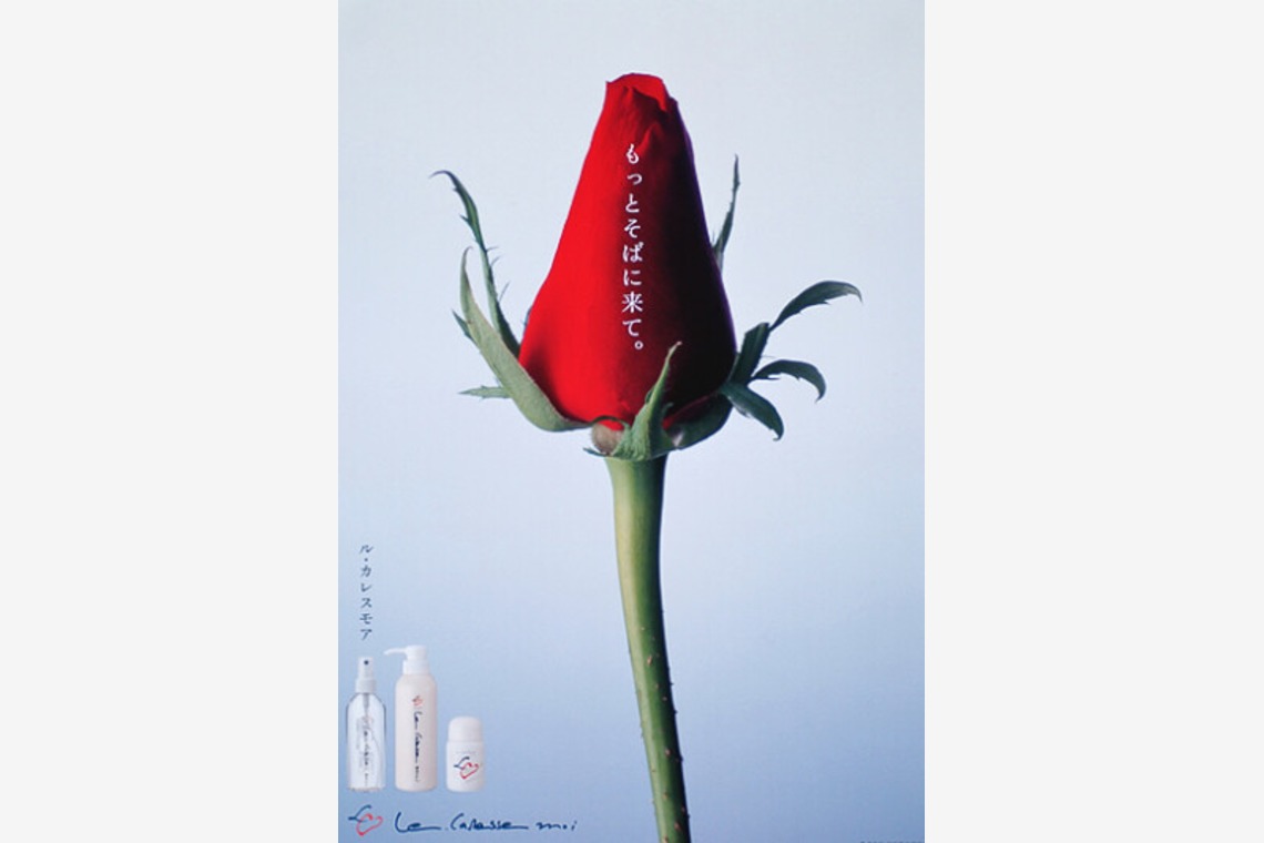 有限会社　澤田スタジオが撮影した写真のアルバム「花、植物」