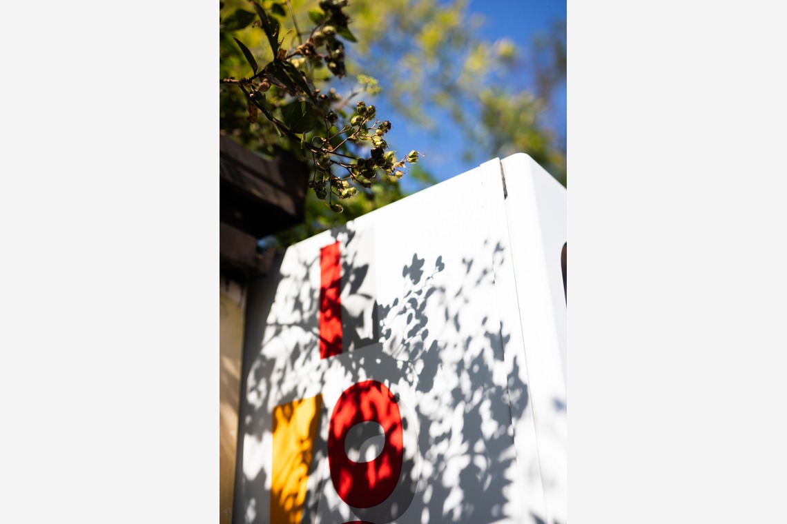 内山慎也が撮影した「植物」の写真