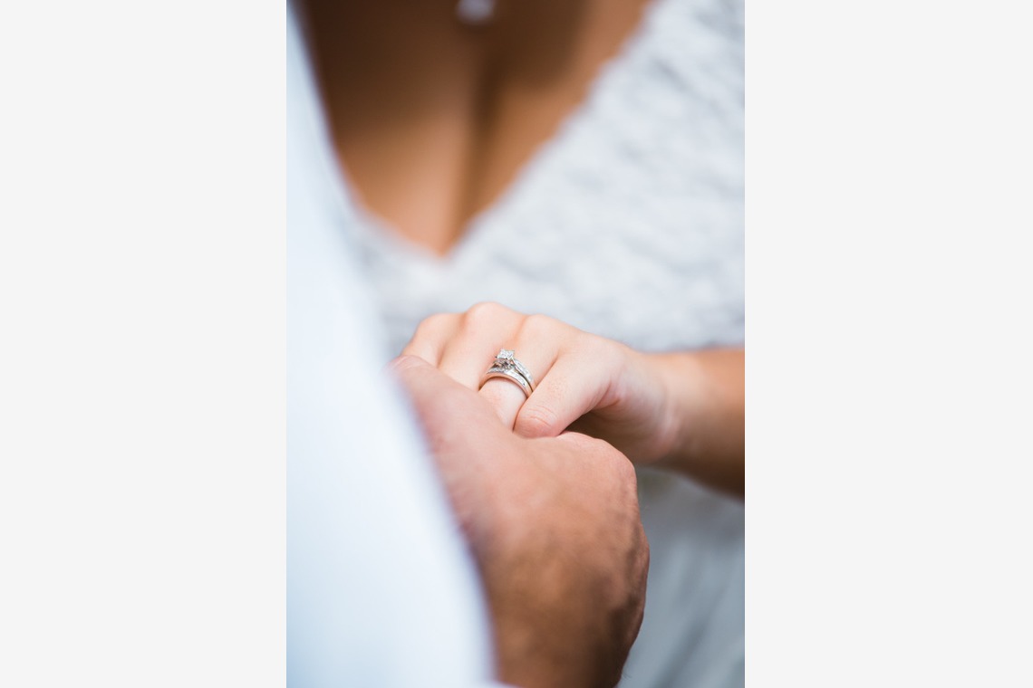 Tulieve Photographyが撮影した写真のアルバム「パームコーブ」