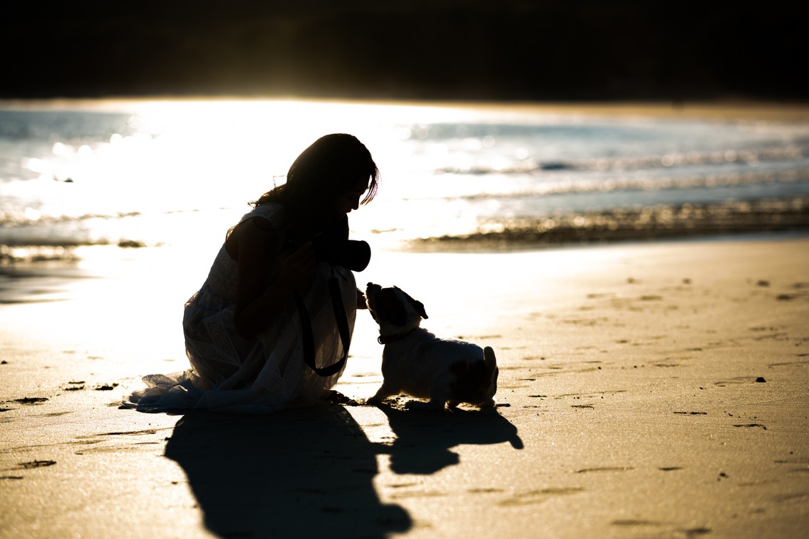 Peace-full photoが撮影した「ペット撮影」の写真