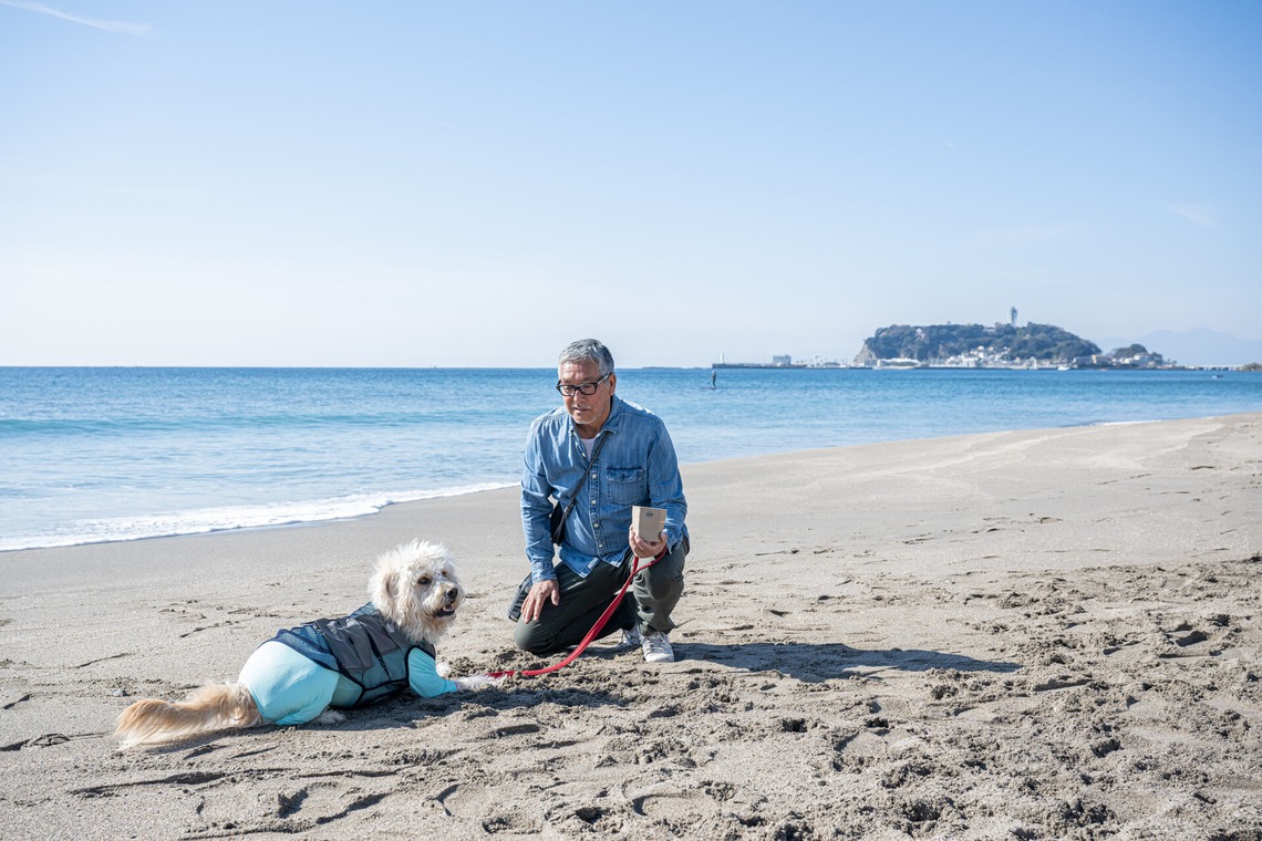 吉田佳央が撮影した「DOG SHOOTING」の写真