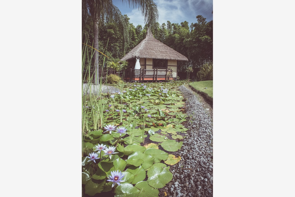 Photo of  taken by Cristian Salvatierra