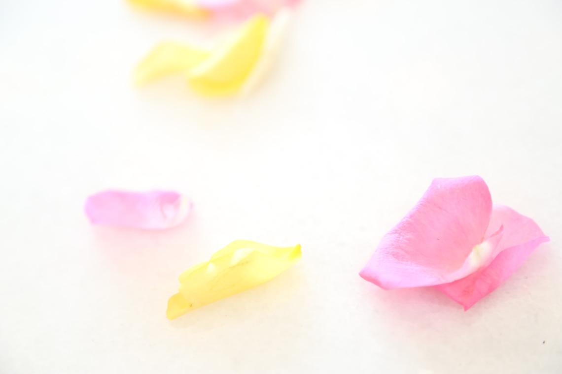 Photo of  taken by ヒロノリ