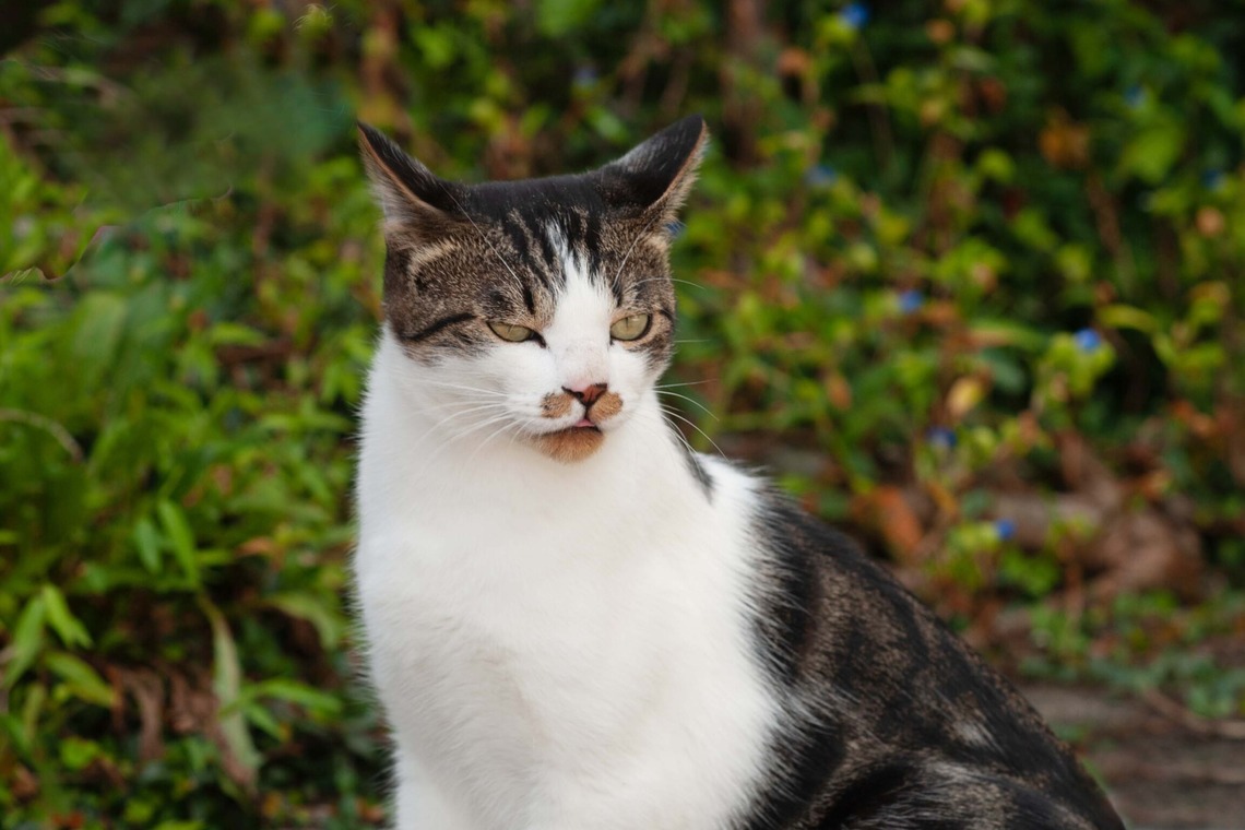 十時写真事務所