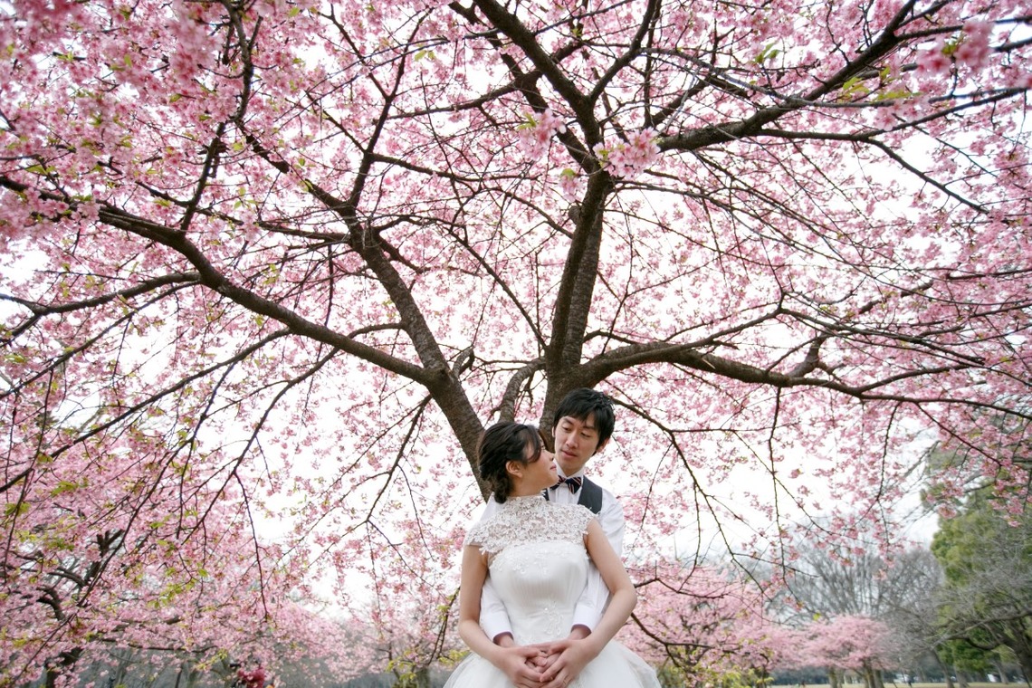 Ayako Photography